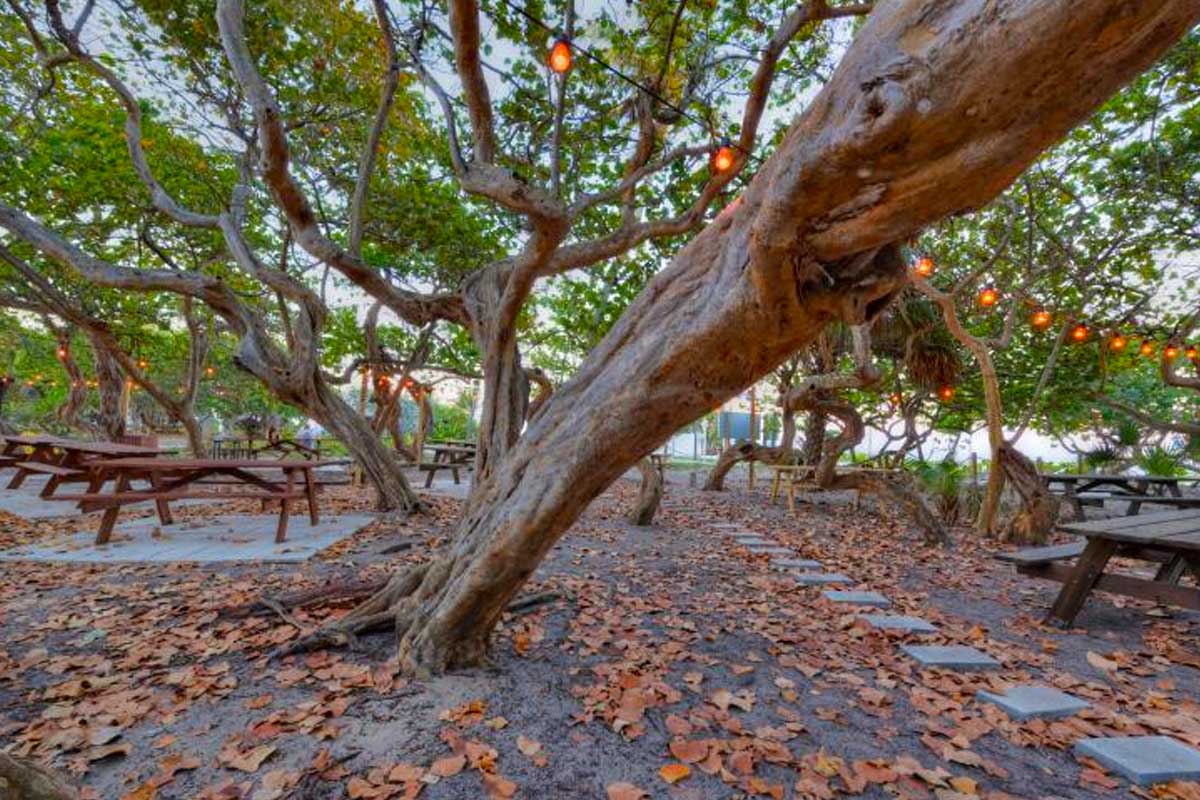 Hugh Taylor Birch State Park (Fort Lauderdale, FL)-