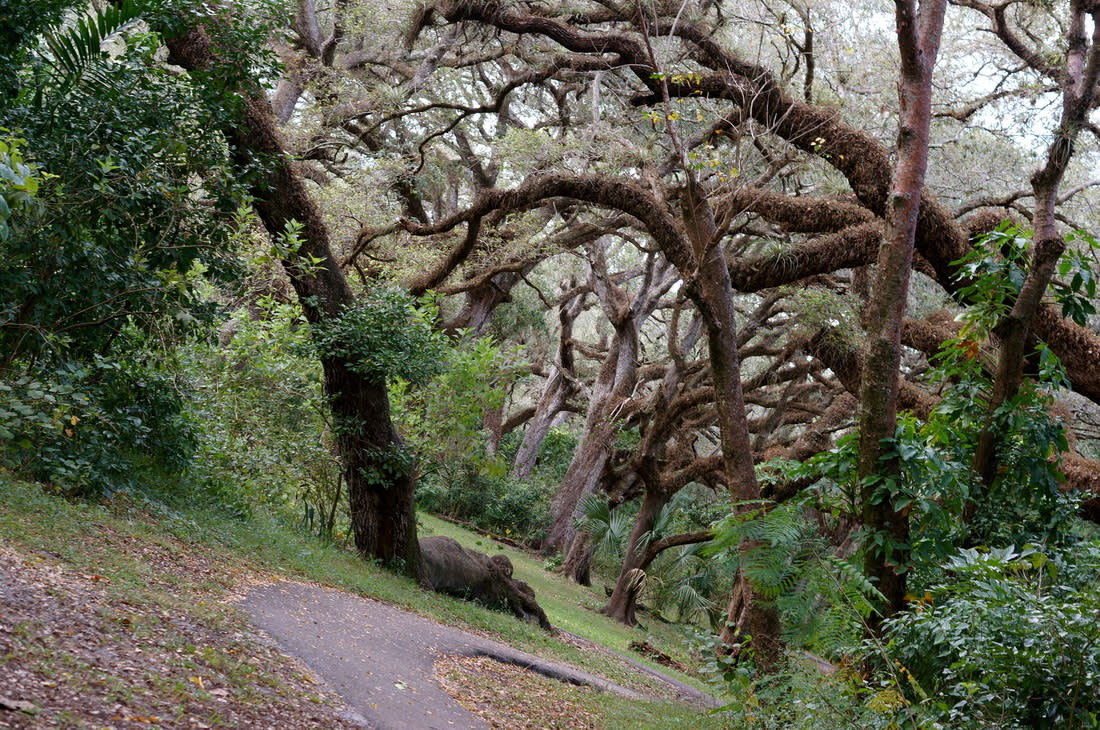 Tree Tops Park (Davie, FL)-